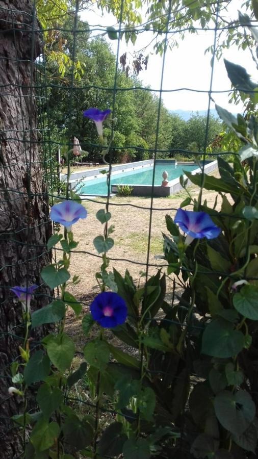 Poggio A Sieve Daire Villore Dış mekan fotoğraf